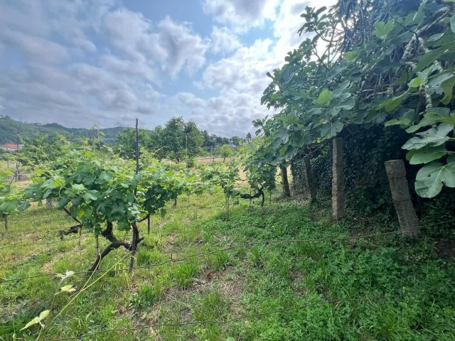 Casa en venta zona lagunas!!! — 19
