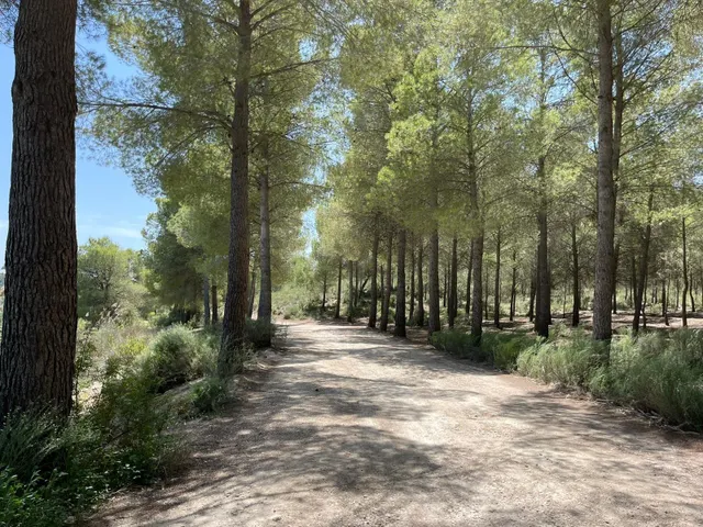 Villas espaciosas con piscina privada, en construcción, en un entorno natural muy privilegiado — 46