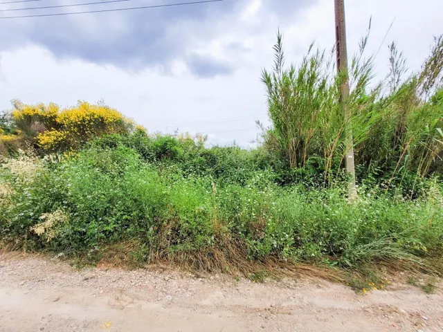 Terreno rústico de 10.735 m2 en Castellbisbal zona Can Nicolau de Dalt. — 25