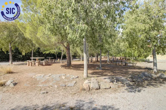 Espacio y comodidad en el centro de Almenara — 48
