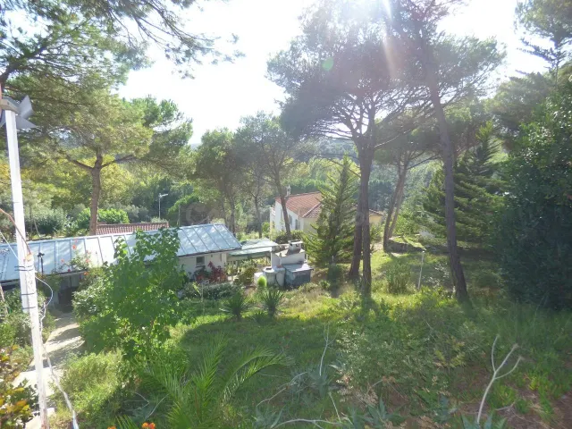 Terreno en Tordera Park con casa prefabricada de 30m2 - Opor - foto 2