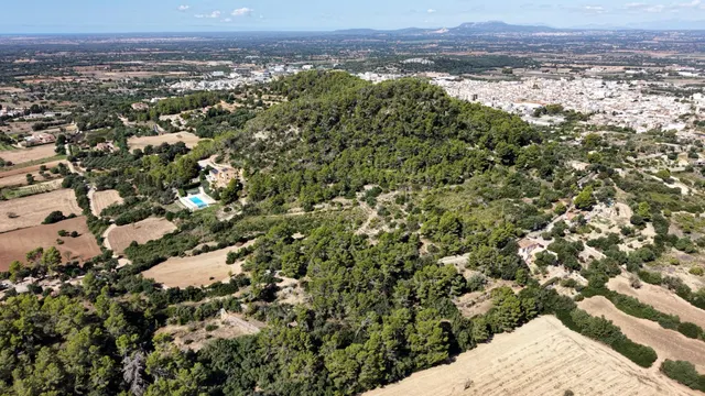 Terreno rústico de 10.000m2 en son quetlles, Felanitx — 7