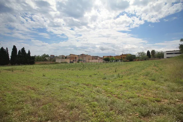 Parcela excepcional para inversores situada en el Baix Empor - foto 4