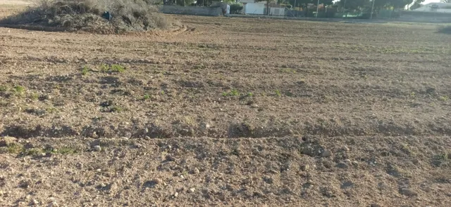 PARCELA EN VALVERDE — 12