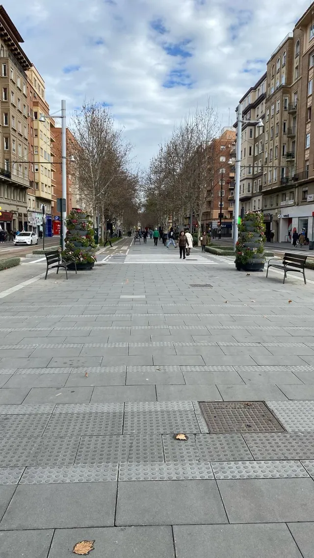 Sector Universidad — 31