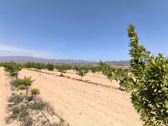 Parcela para construir en Monóvar, Comunidad Valenciana - foto 2