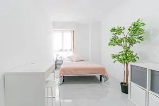 Co-Living  - Ideal Inversionistas — 22