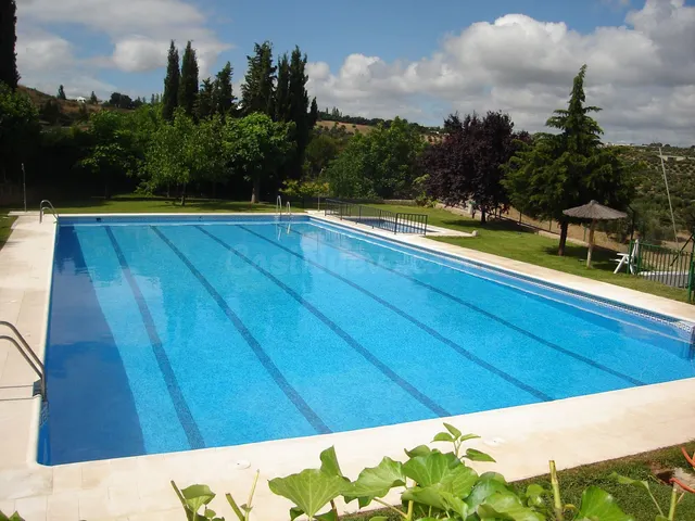 Negocio 461m² en venta - Centro — 4
