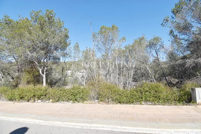 TERRENO EN MAS ALBA — 9