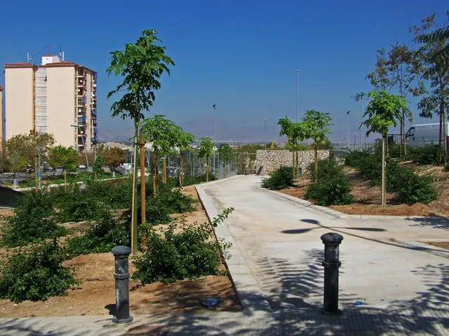 Alta rentabilidad: piso de 4 dormitorios, semireformado, amueblado a estrenar en Alicante, listo para entrar a vivir, a 4 km de la playa — 19