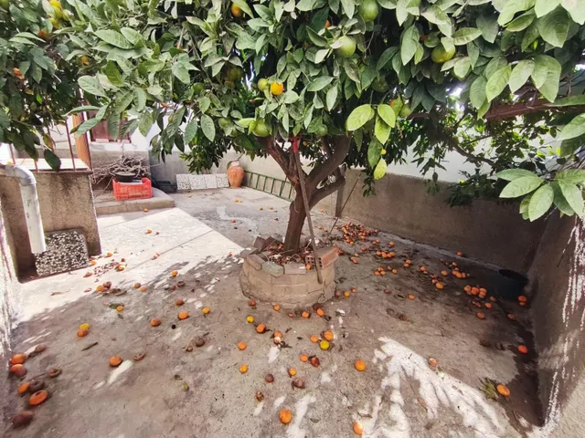 Gran casa céntrica con patio y terrazas — 16