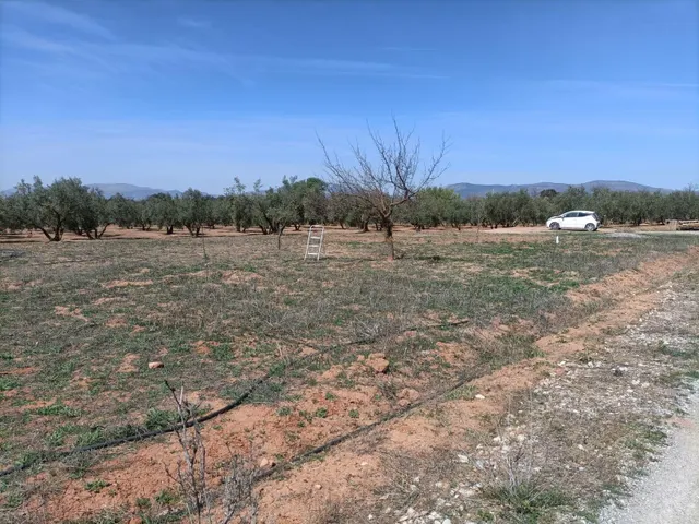 Finca rústica en venta — 18