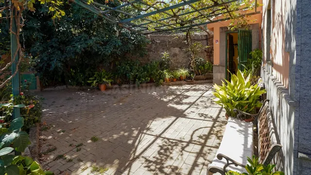 CASA REFORMADA CON AMPLIO TERRENO EN LA SOLANA, SAN MATEO — 5
