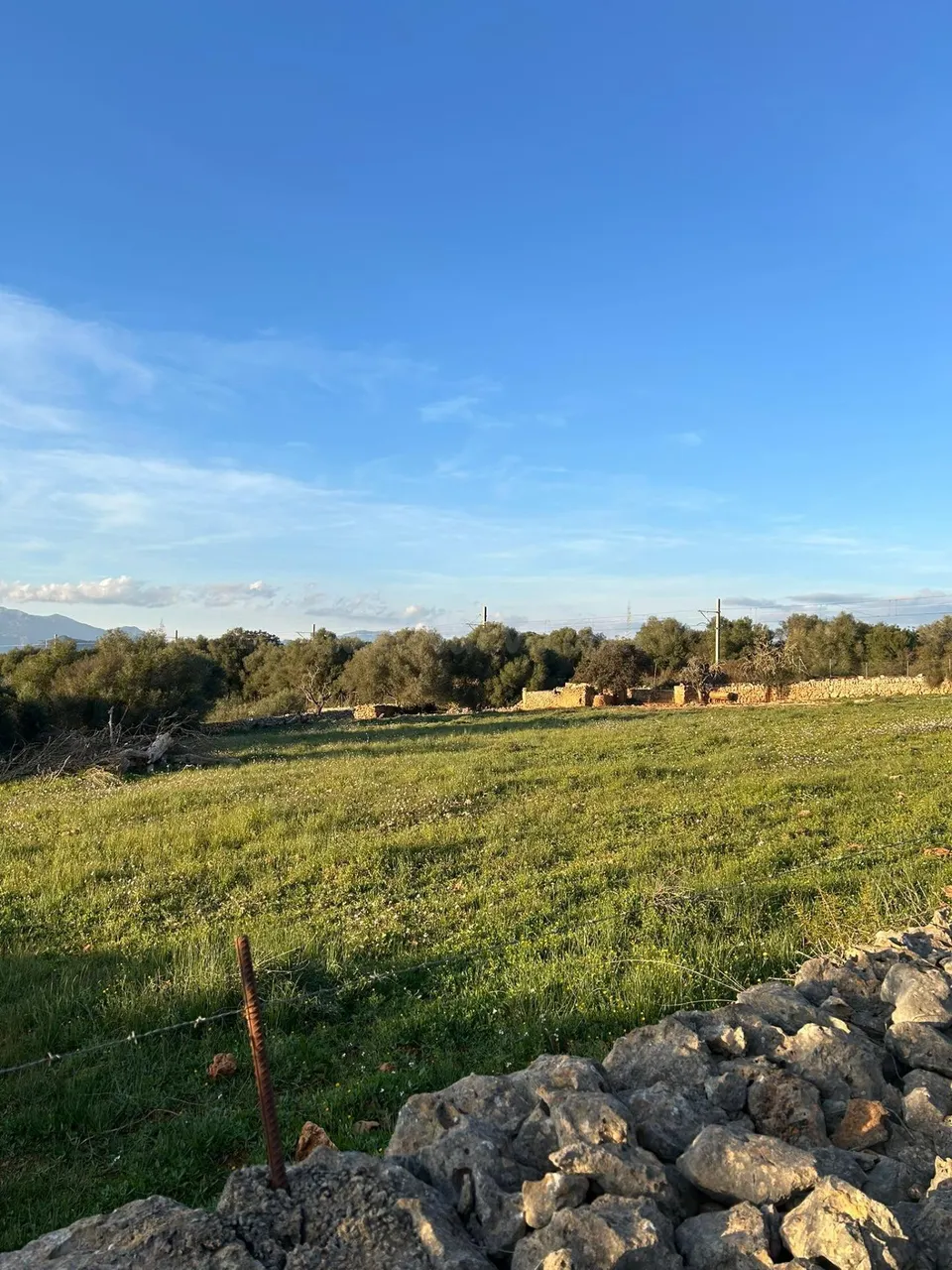 FINCA RÚSTICA EN SINEU