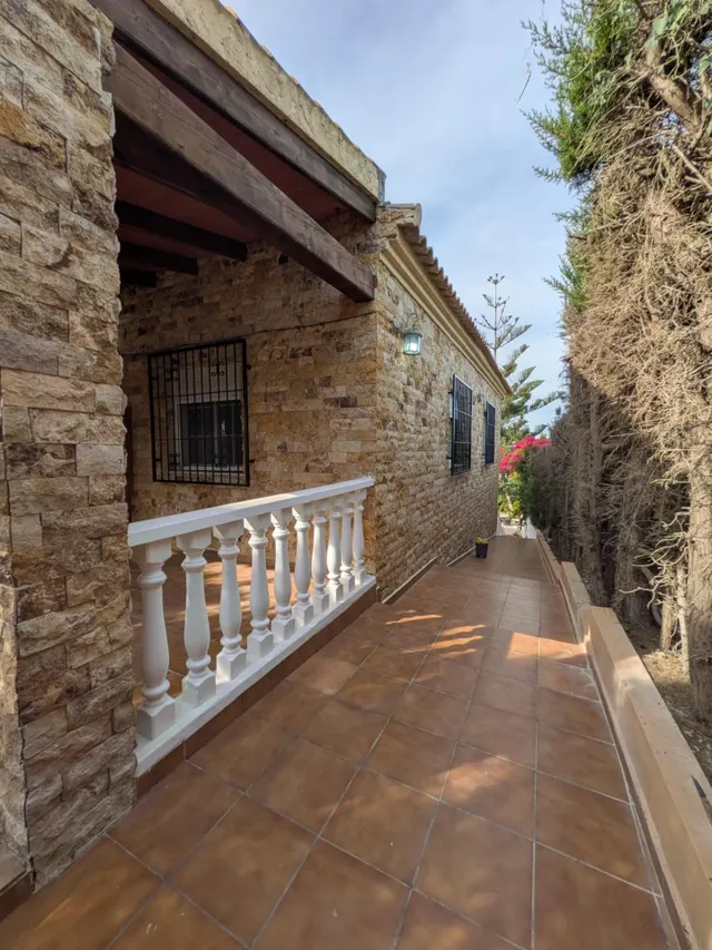 ESPECTACULAR FINCA CON CASA, PISCINA PRIVADA Y PLANTACIÓN DE LIMONEROS EN JACARILLA — 7