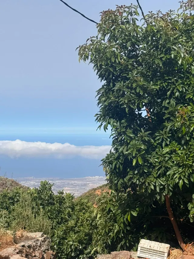 CAZADORES TELDE GRAN CANARIA (LAS PALMAS) — 20