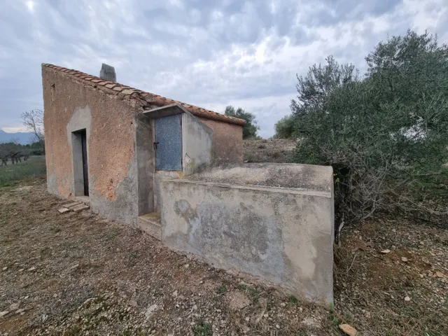 Económica Finca, con antigua caseta de campo de 25 M2 en El  - foto 2