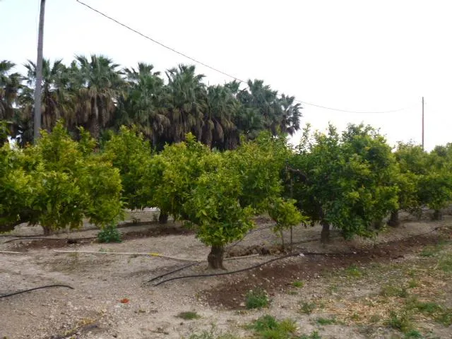 Chalet en zona Vinallop a 3 km. de Tortosa — 21