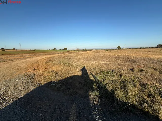 Inversión Destacada en Carmona, Sevilla 16.000Mt rústicos