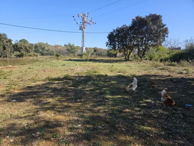 Terreno para recreo vallado y con acceso por camino asfaltado — 22