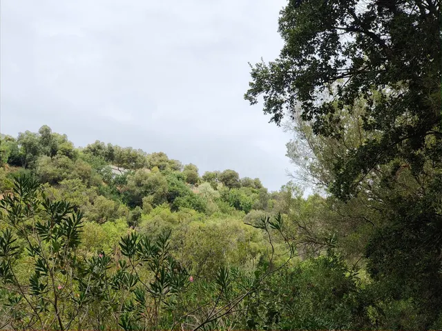 Parcela en venta - Istan pueblo — 5