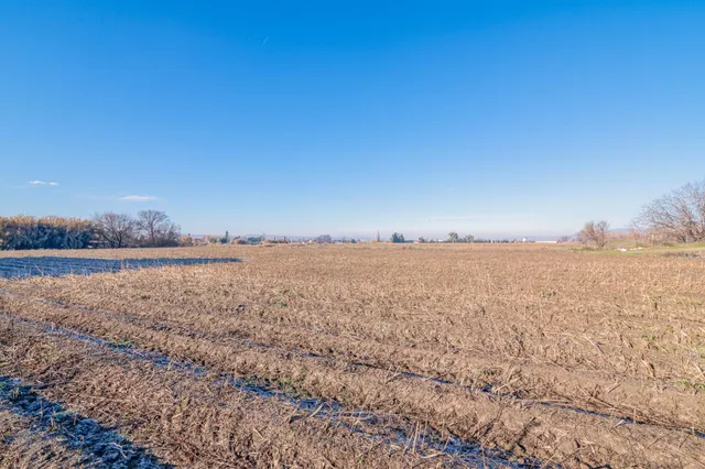 Excelente finca de regadío en la Vega de Granada, con acceso directo — 11