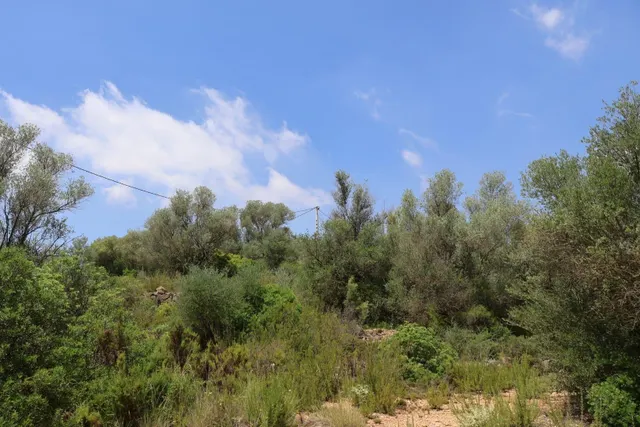 MASIA RUSTICA EN DOS HECTAREAS DE TERRENO ZONA POU DE BECA — 35