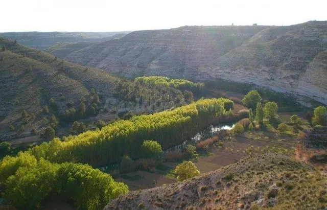 LOTE de Parcelas rústicas en venta en La Recueja, Albacete - foto 3