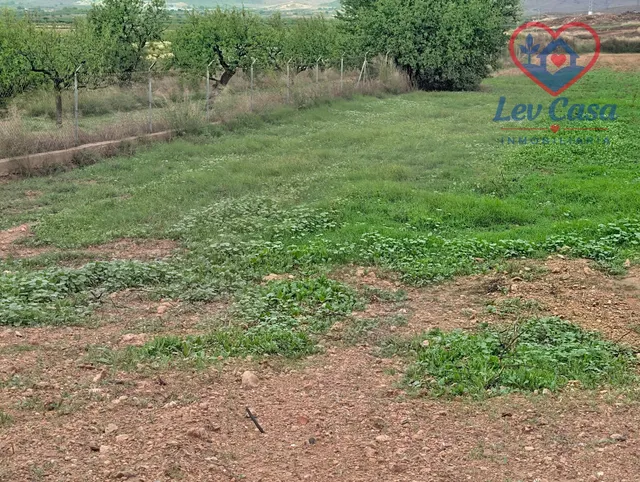 SE VENDE PARCELA DE UNOS 3.000 M2 — 49.900 € - foto 3