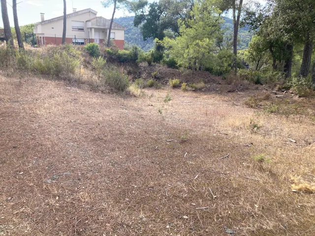 2 SOLARES EDIFICABLES EN VENTA EN SANTA SUSANNA — 6