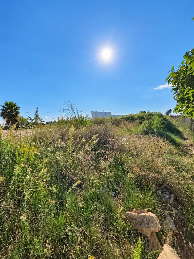 Finca rústica de 6.705 m2 en la zona de els ullals de baltasar, Amposta — 20
