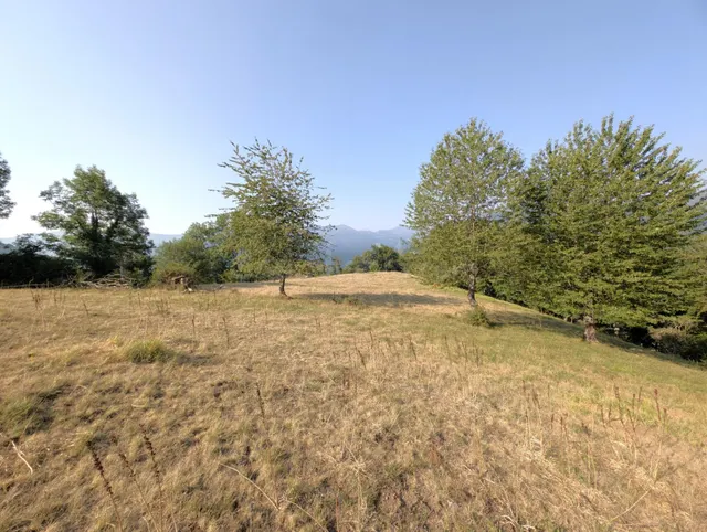 Espectacular finca rustica con cuadra tradiccional — 17