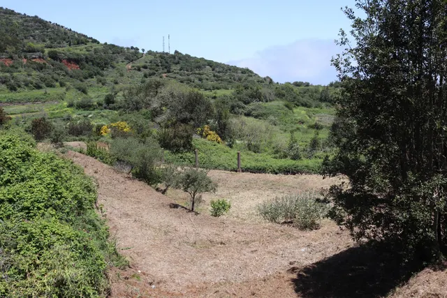 Terreno Agrario en Venta â Zona de Erjos (municipio de Los Silos / El Tanque) — 7