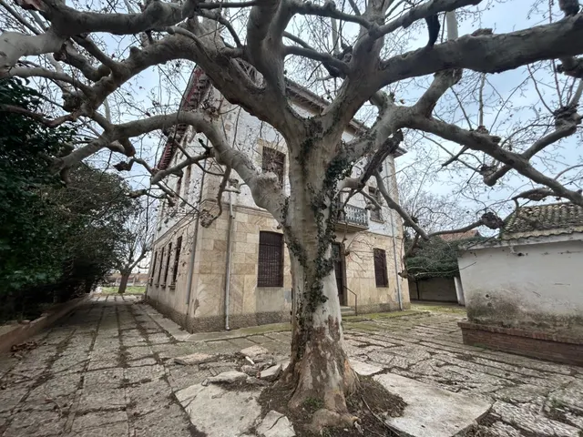 Casa palacio con parcela de 4500 m2 en Peralta — 8