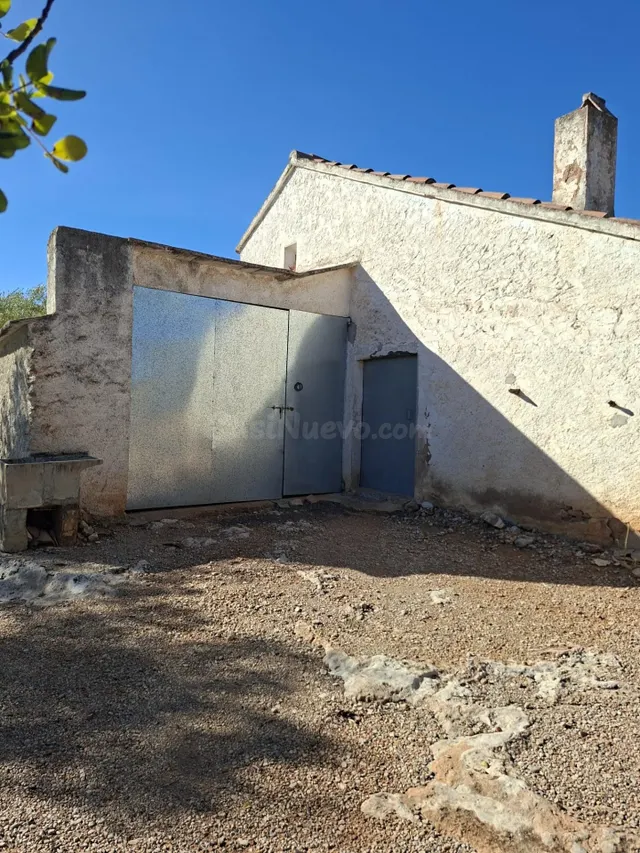 Amplia Propiedad de Olivos con Caseta y Garaje en Entorno Na - foto 2