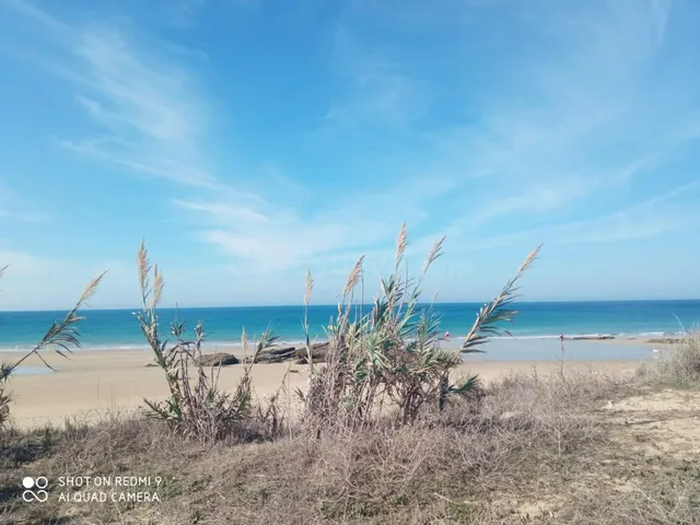 Terreno rural en venta - Casco antiguo - foto 3