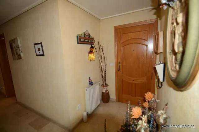 ¡¡ GRAN OPORTUNIDAD. VIVIENDA CÉNTRICA EN ORIHUELA !! Piso de 102 m2. construidos, distribuidos en 3 habitaciones, 2 baños. Zona Centro de Orihuela. — 19