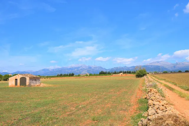 Finca rústica con caseta de campo y magnificas vistas a la S - foto 5