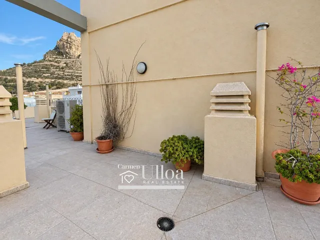 APARTAMENTO DE DISEÑO CON VISTAS AL MAR  Y AL CASTILLO PLAYA POSTIGUET — 44