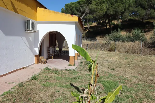 Tradicional casa de campo con amplio terreno y piscina en El - foto 4
