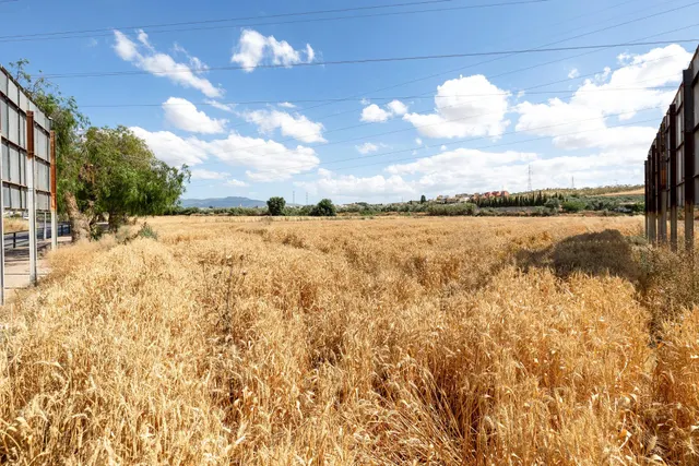 Parcela de 5000 metros junto al mercadona de Hijar — 15