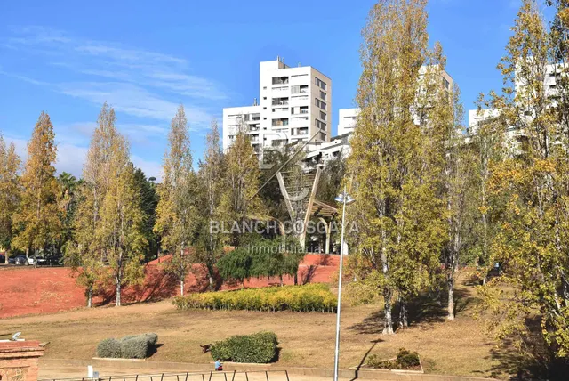 PLANTA BAJA SIN ESCALONES — 25