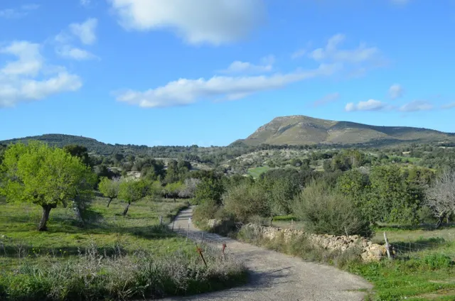 Finca rústica 4 habitaciones 600m² en venta - Sant Llorenç D - foto 3