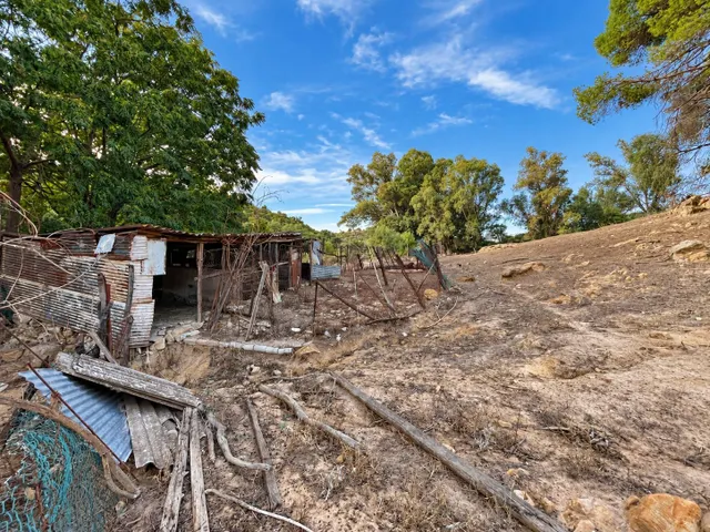 Finca rústica de 18.444 m2 con pozo y construcción catastrada en Alcalá de los Gazule — 12