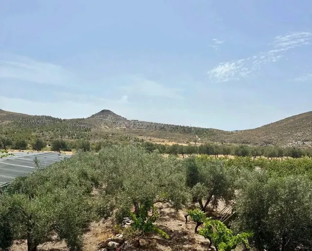 Finca agrícola y ganadera de 25.000 m2 con pozo propio, placas solares y plantación en producción en Gérgal — 22