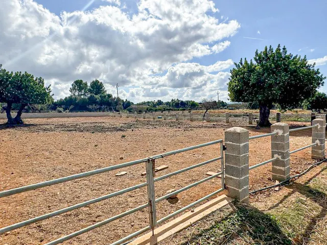FINCA RÚSTICA 'PUIG SANTA MAGDALENA' — 31
