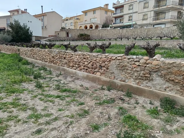Oportunidad única en Oría (Almería) — 5