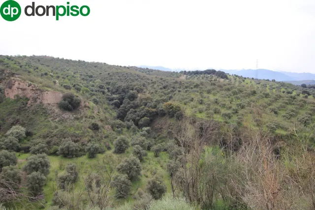 FINCA EN CORTIJO SAN JERÓNIMO (BARTODANO) — 48