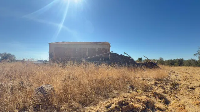 FINCA DE ENCINAR EN EL CERRO DEL ANDÉVALO — 10