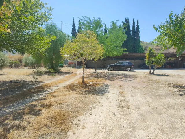 SE VENDE CASA DE CAMPO EN BUEN ESTADO EN ASPE — 22